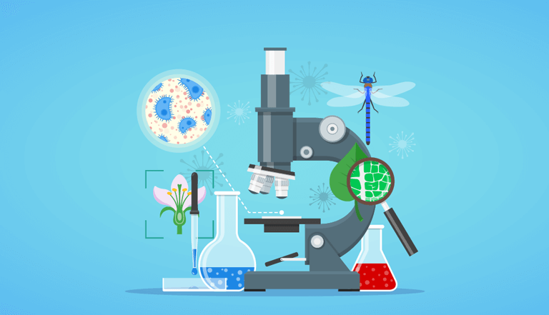 1 on 1 private tutoring